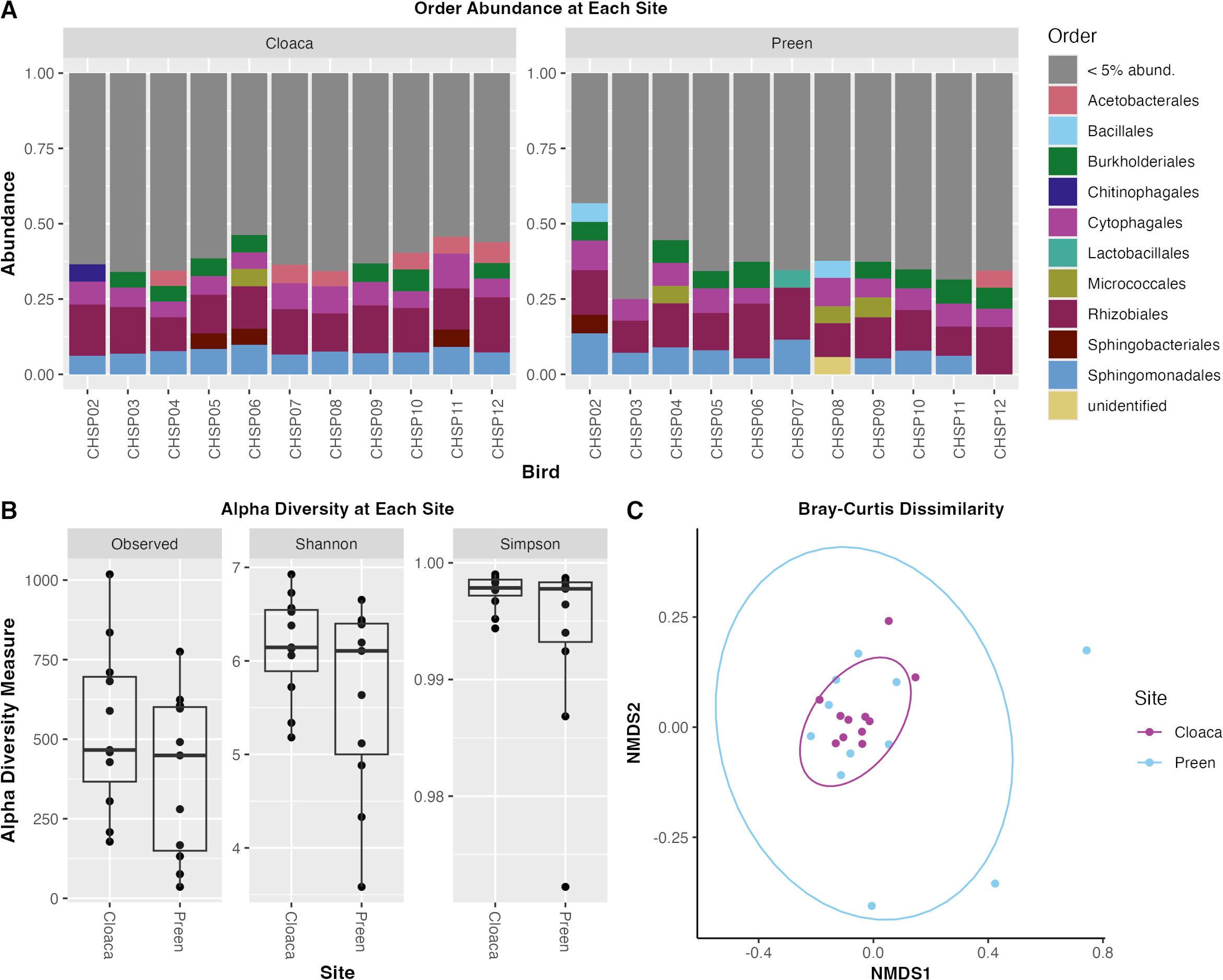 16S rRNA gene sequencing of microbiota from the preen oil and cloaca of chipping sparrows (<i>Spizella passerina</i>)