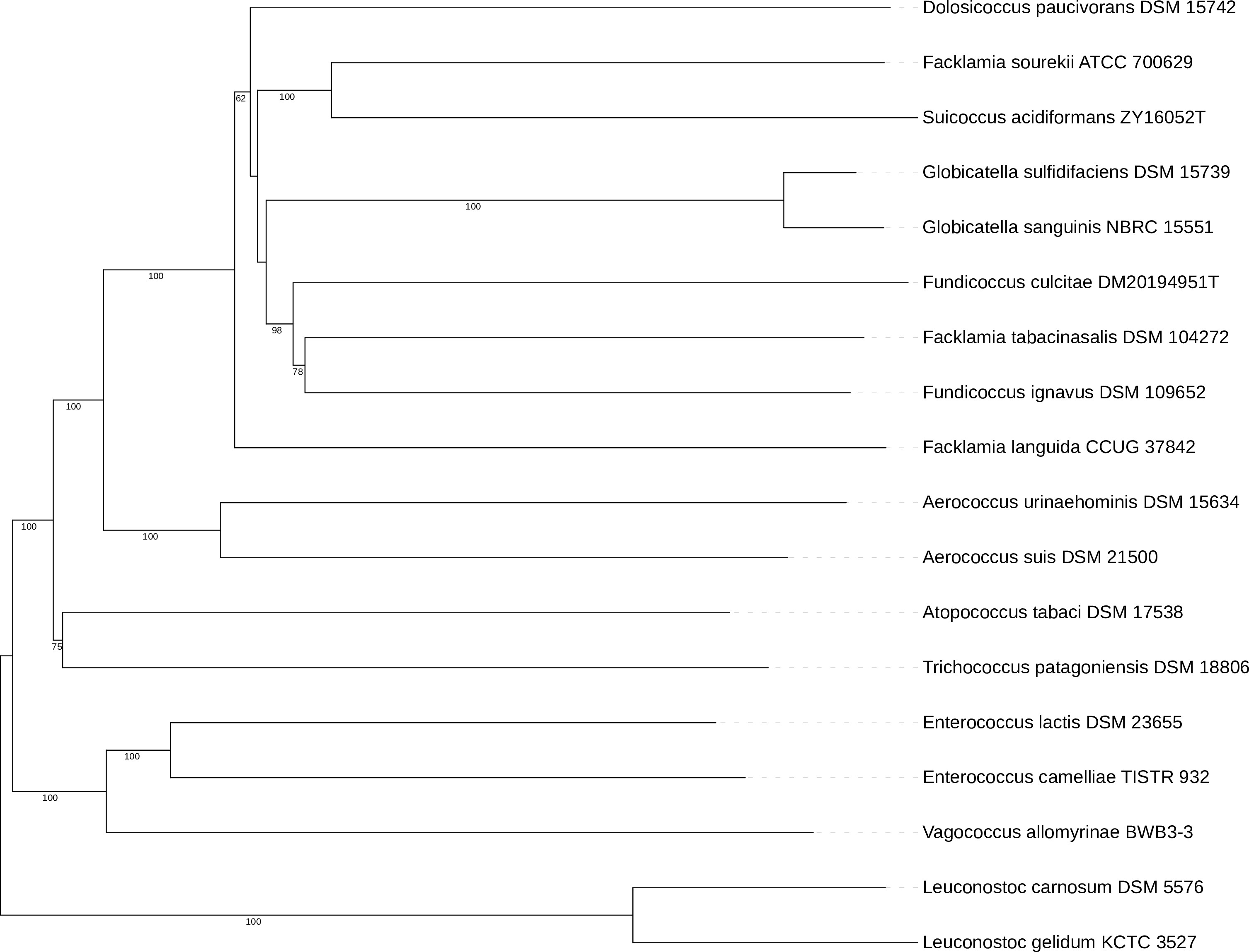 Draft genome sequence of
            <i>Dolosicoccus paucivorans</i>
            DSM 15742
            <sup>T</sup>
            isolated from a patient’s blood in Cleveland, Ohio