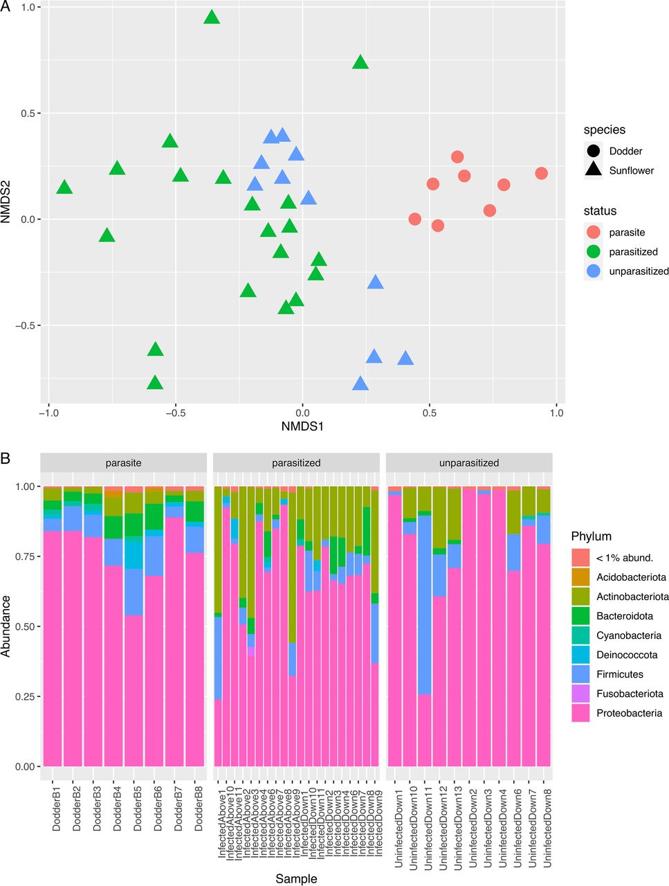 16S rRNA Gene Diversity of Bacterial Endophytes in Parasitic
            <i>Cuscuta campestris</i>
            and Its
            <i>Helianthus annuus</i>
            Host